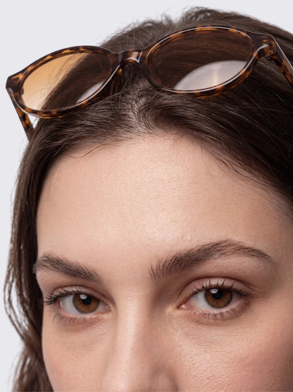 AMBER SUNGLASSES - leopard
